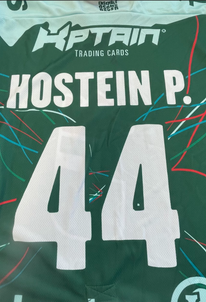 #44 HOSTEIN P. - HOPITAL NOVO