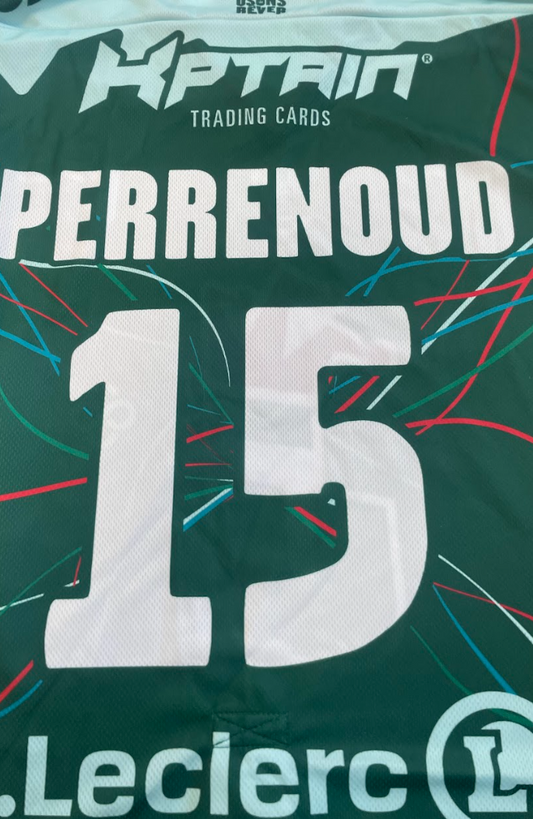 #15 PERRENOUD - HOPITAL NOVO