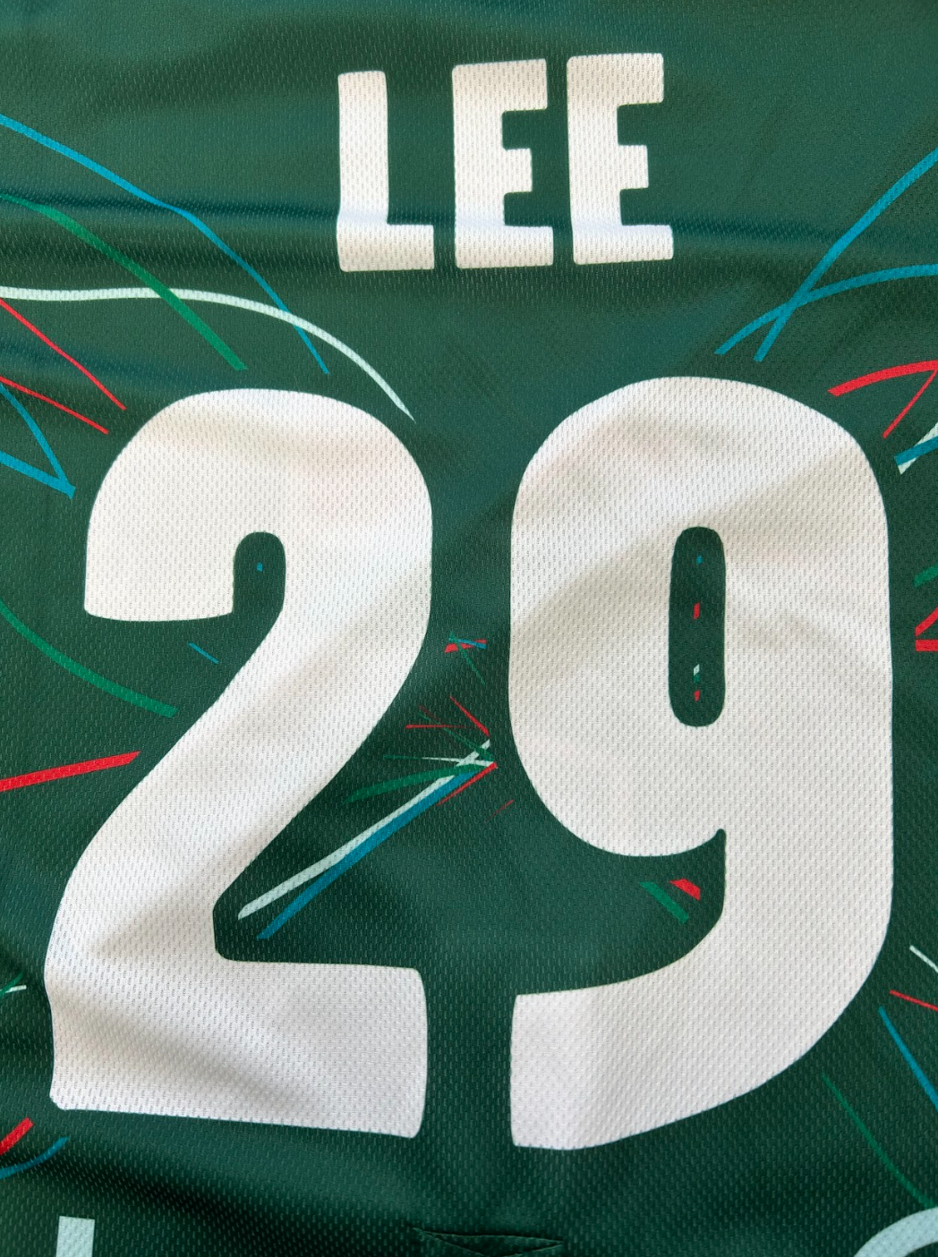 #29 LEE - HOPITAL NOVO