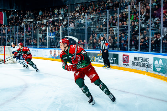#90 DOMICILE - FIN DE SAISON 🏒
