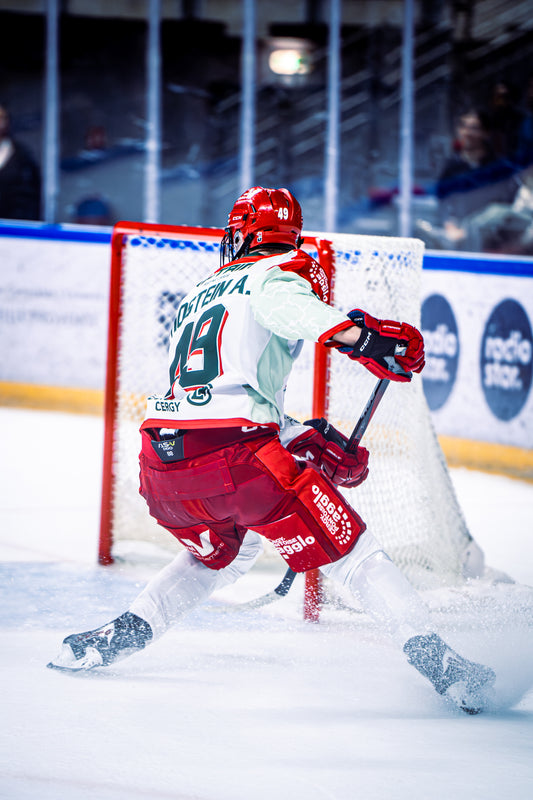 #49 HOSTEIN A. EXTERIEUR - FIN DE SAISON 🏒