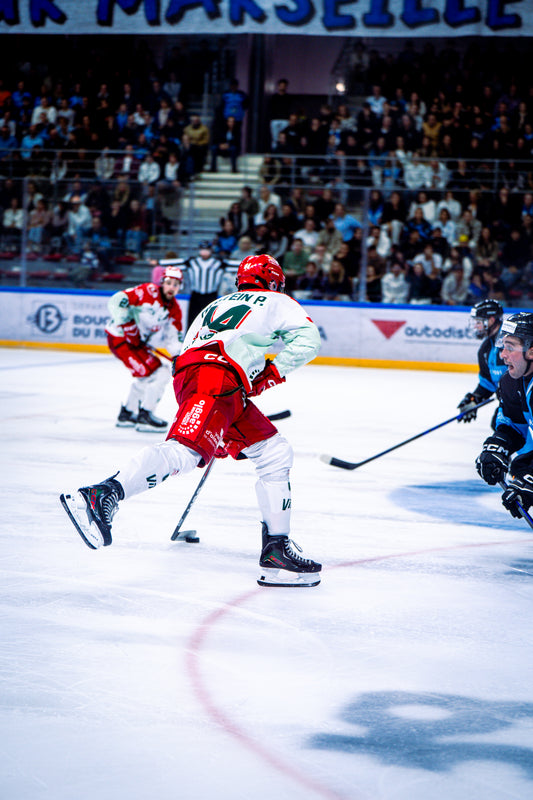 #44 HOSTEIN P. EXTERIEUR - FIN DE SAISON 🏒