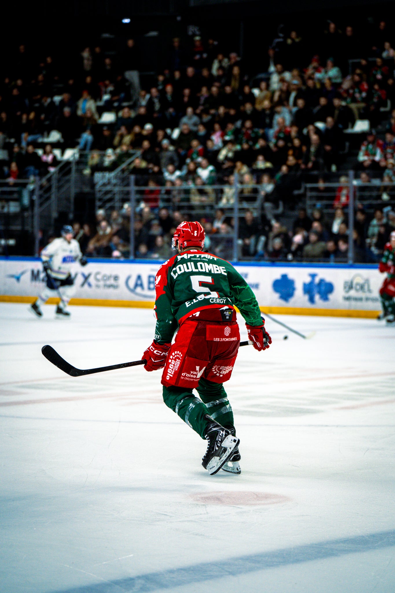 #5 COULOMBE DOMICILE - FIN DE SAISON 🏒