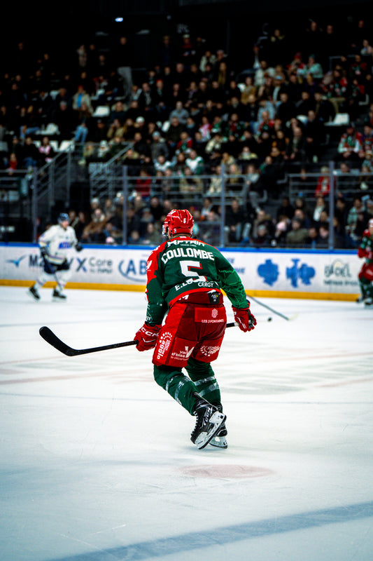 #5 COULOMBE DOMICILE - FIN DE SAISON 🏒