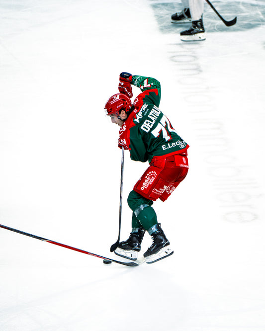 #77 DELATOUR DOMICILE - FIN DE SAISON 🏒