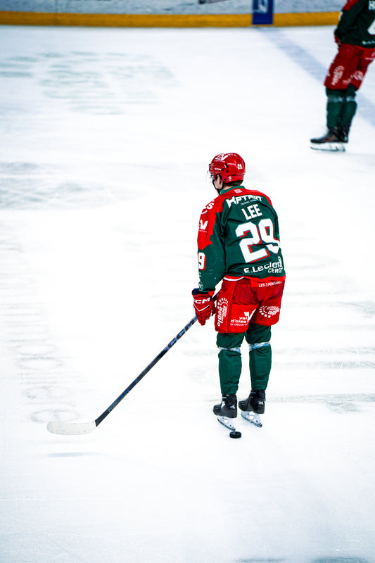 #29 LEE DOMICILE - FIN DE SAISON 🏒