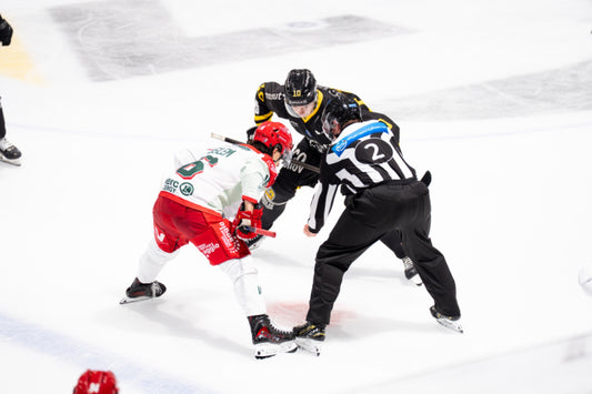 #16 LE LEM EXTERIEUR - FIN DE SAISON 🏒