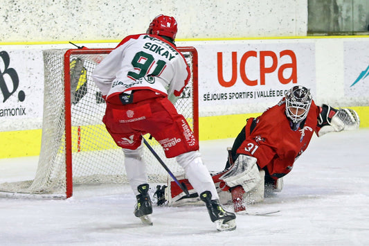 #91 SOKAY EXTERIEUR - FIN DE SAISON 🏒