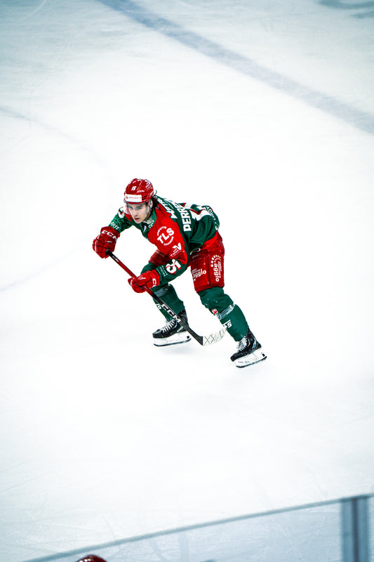 #15 PERRENOUD DOMICILE - FIN DE SAISON 🏒