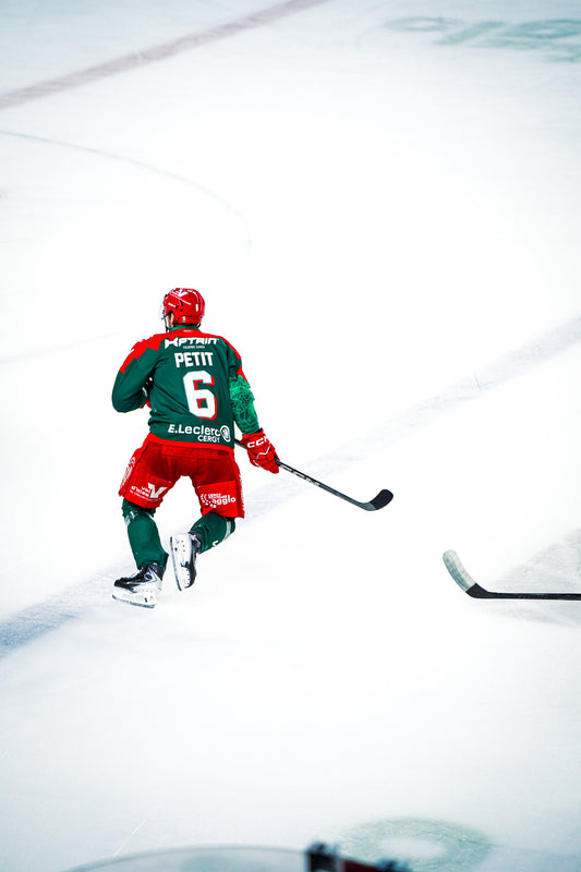 #6 PETIT DOMICILE - FIN DE SAISON 🏒