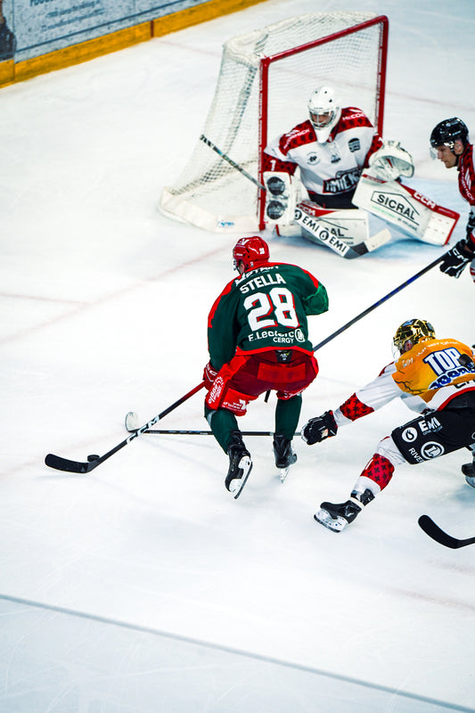 #28 STELLA DOMICILE - FIN DE SAISON 🏒
