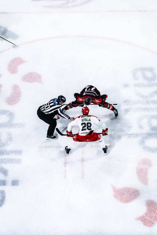 #28 STELLA EXTERIEUR - FIN DE SAISON 🏒